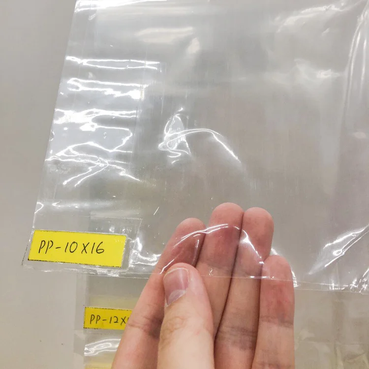 pp-bag-with-hand